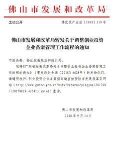 加強網絡投資管理與咨詢，助力南海經濟穩健發展